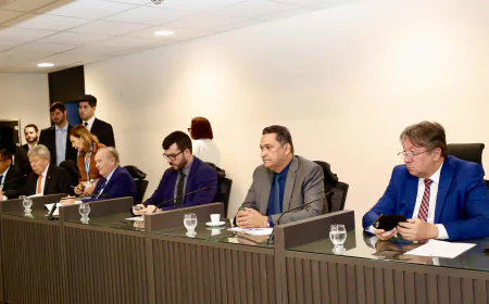 Deputado Torrinho Torres (MDB) Participa de Aprovação de 43 Preposições