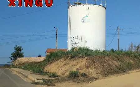 São Félix do Xingu: Setor Planalto Sofre com Falta de Água.
