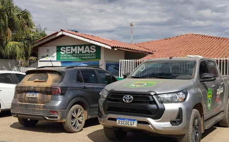 São Félix do Xingu: Morador Denuncia Operação de Garimpo Ilegal