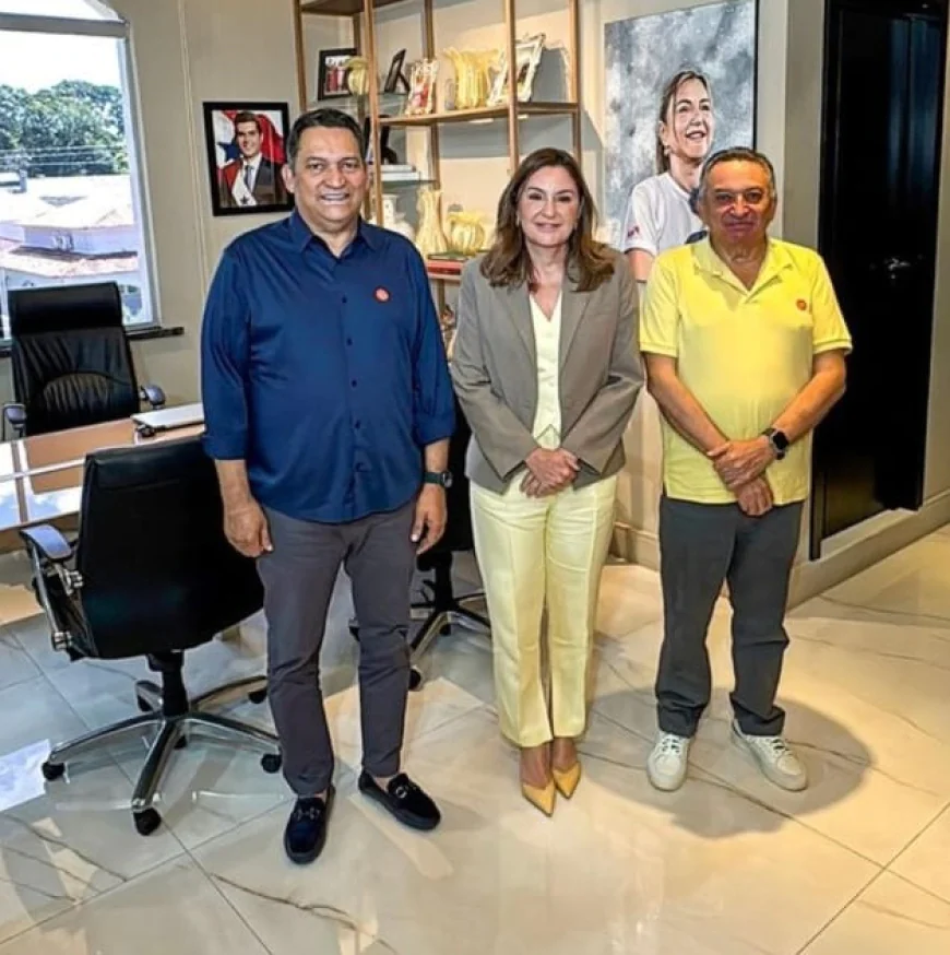 São Félix do Xingu: Deputado Torrinho e o ex-prefeito João Cleber se reunem com Vice Governadora Hana e discutem projetos