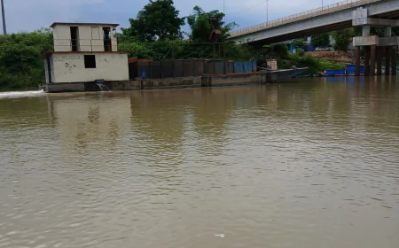 São félix do xingu: Veja a diferença entre o Rio fresco e Rio xingu