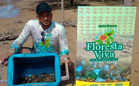 São Félix do Xingu: Projeto Floresta Viva Preserva o Mêio Ambiente