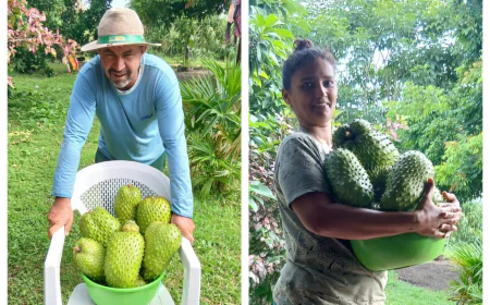 Chácara Presente de Deus: Casal mostra na prática ( quem planta colhe )