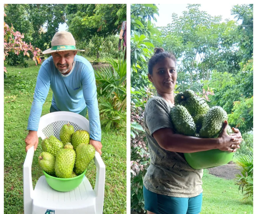 Chácara Presente de Deus: Casal mostra na prática ( quem planta colhe )